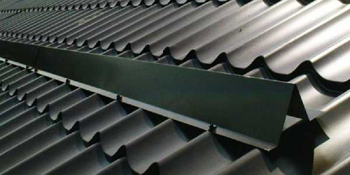 Снегозащита