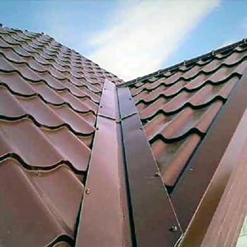 Ендова верхняя